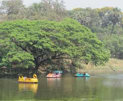 Honeymoon In Tarkarli